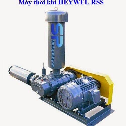 Máy thổi khí Heywel RSS-50 5.5HP