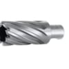 Mũi khoan từ NITTO HS2515